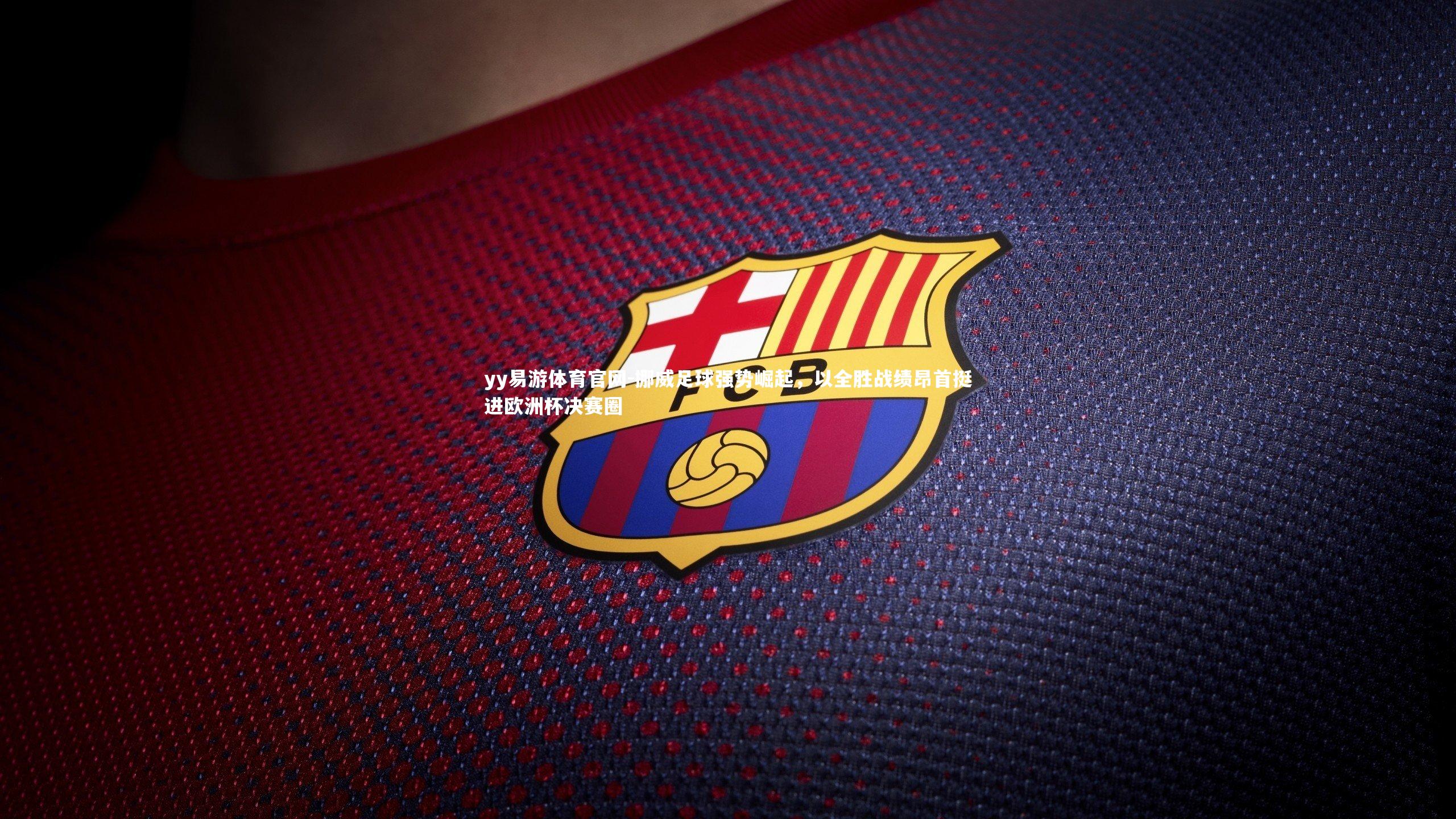 yy易游体育官网-挪威足球强势崛起，以全胜战绩昂首挺进欧洲杯决赛圈